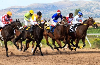 Tipsport